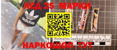 гидра Рузаевка