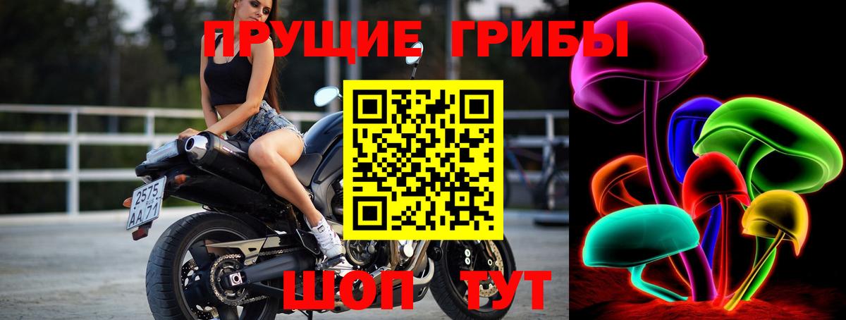 наркота  Галлюциногенные грибы ЛСД  Вход с VPN  Псилоцибиновые грибы прущие грибы  Новочебоксарск 